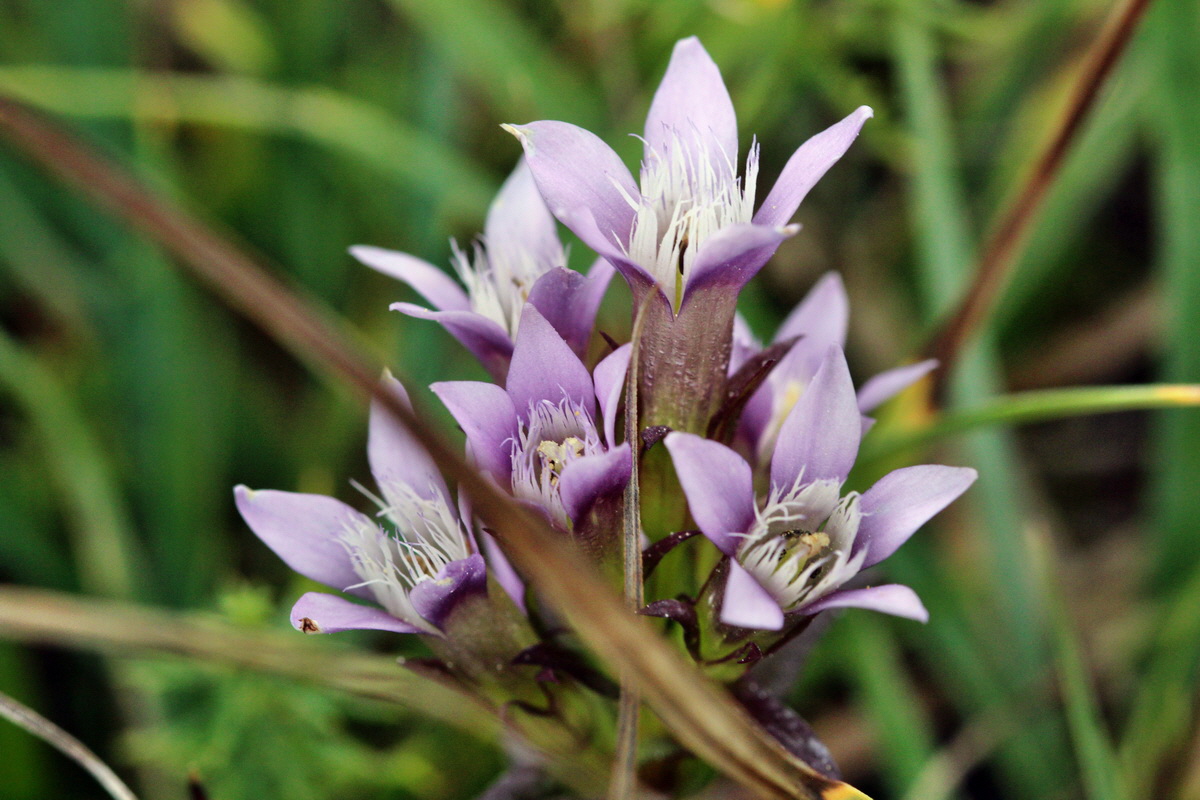 2013_09_15_00030708p_Bildgr��e �ndern