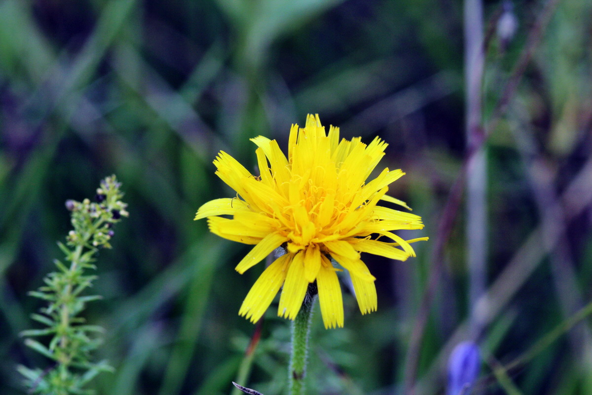 2013_09_15_00030714p_Bildgr��e �ndern