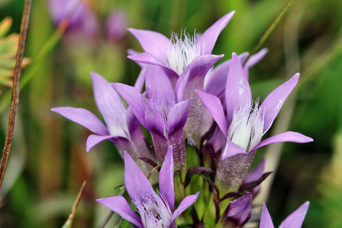 2013_09_15_00030717p_Bildgr��e �ndern