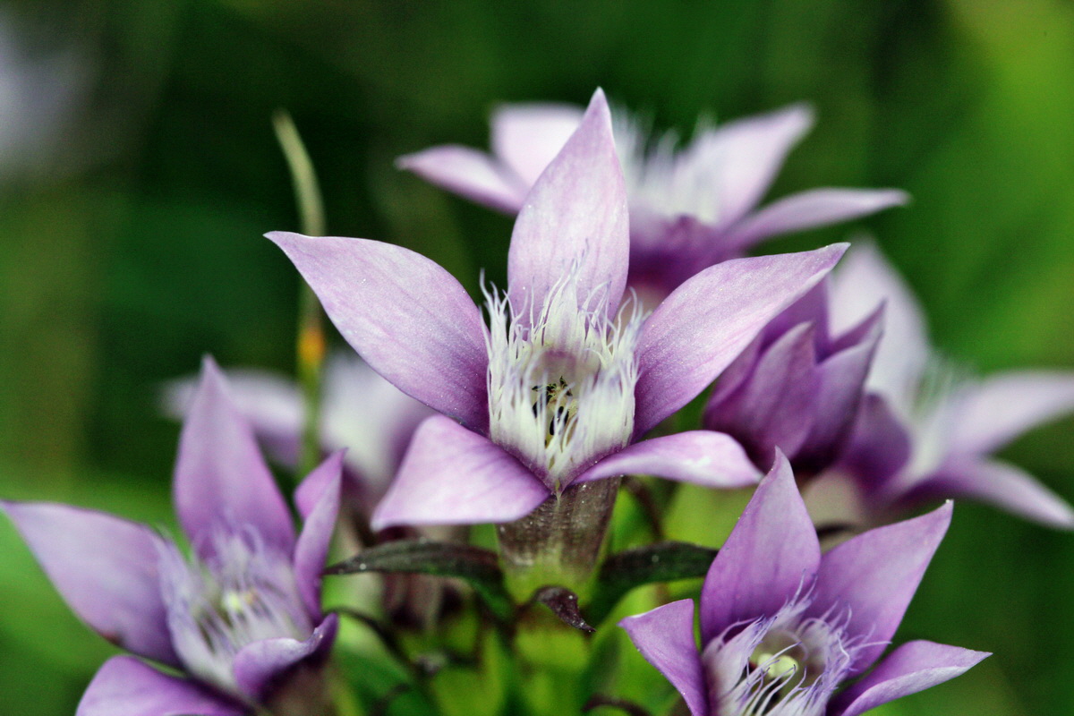 2013_09_15_00030722p_Bildgr��e �ndern