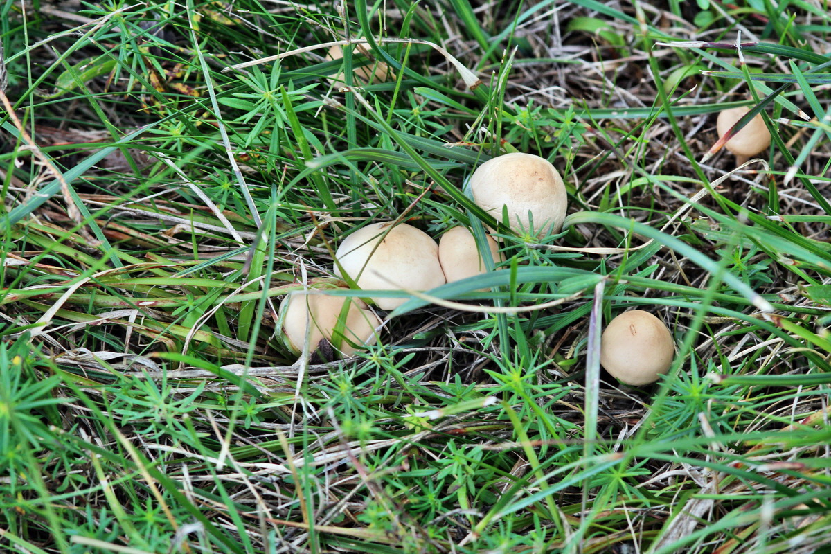 2013_09_15_00030726p_Bildgr��e �ndern