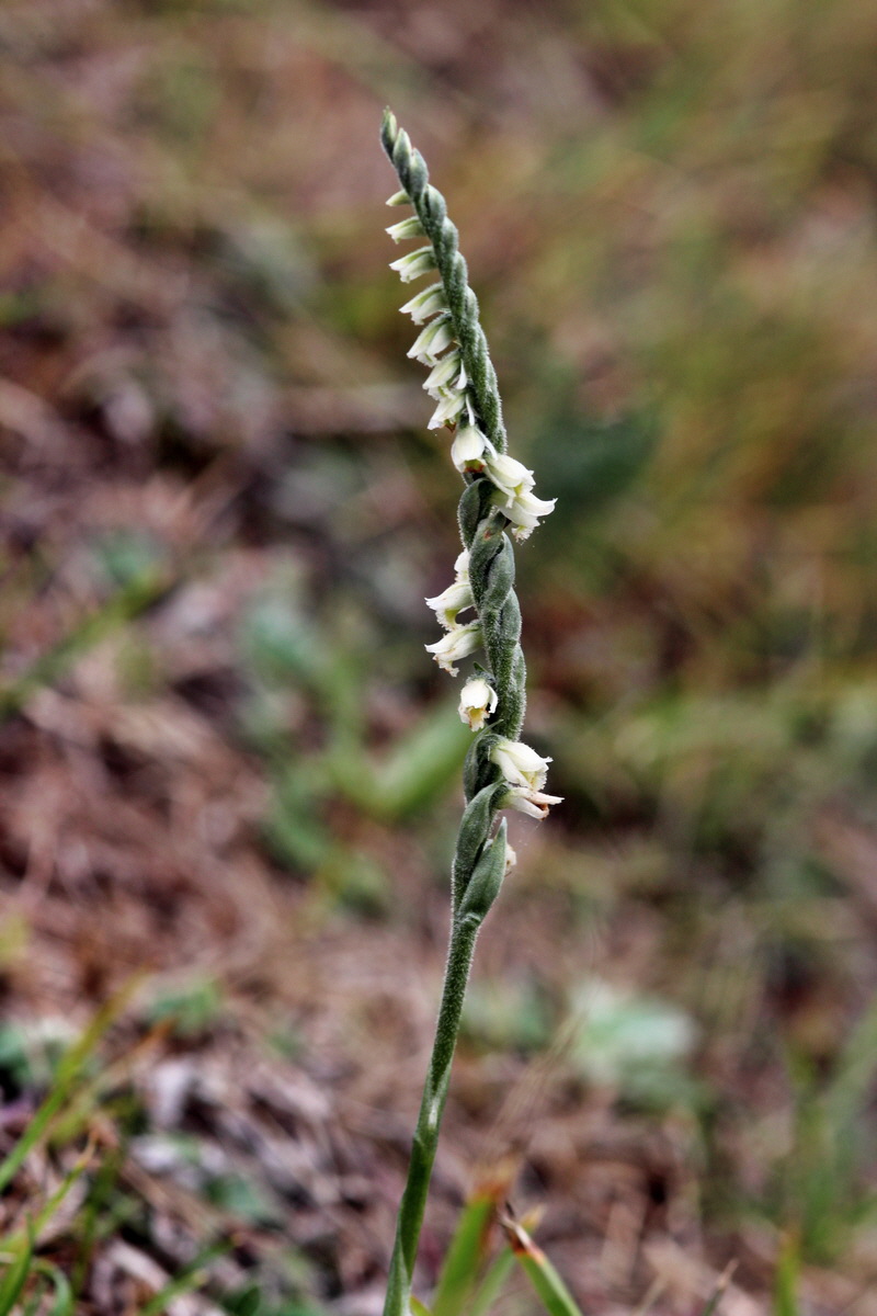 2013_09_15_00030732p_Bildgr��e �ndern