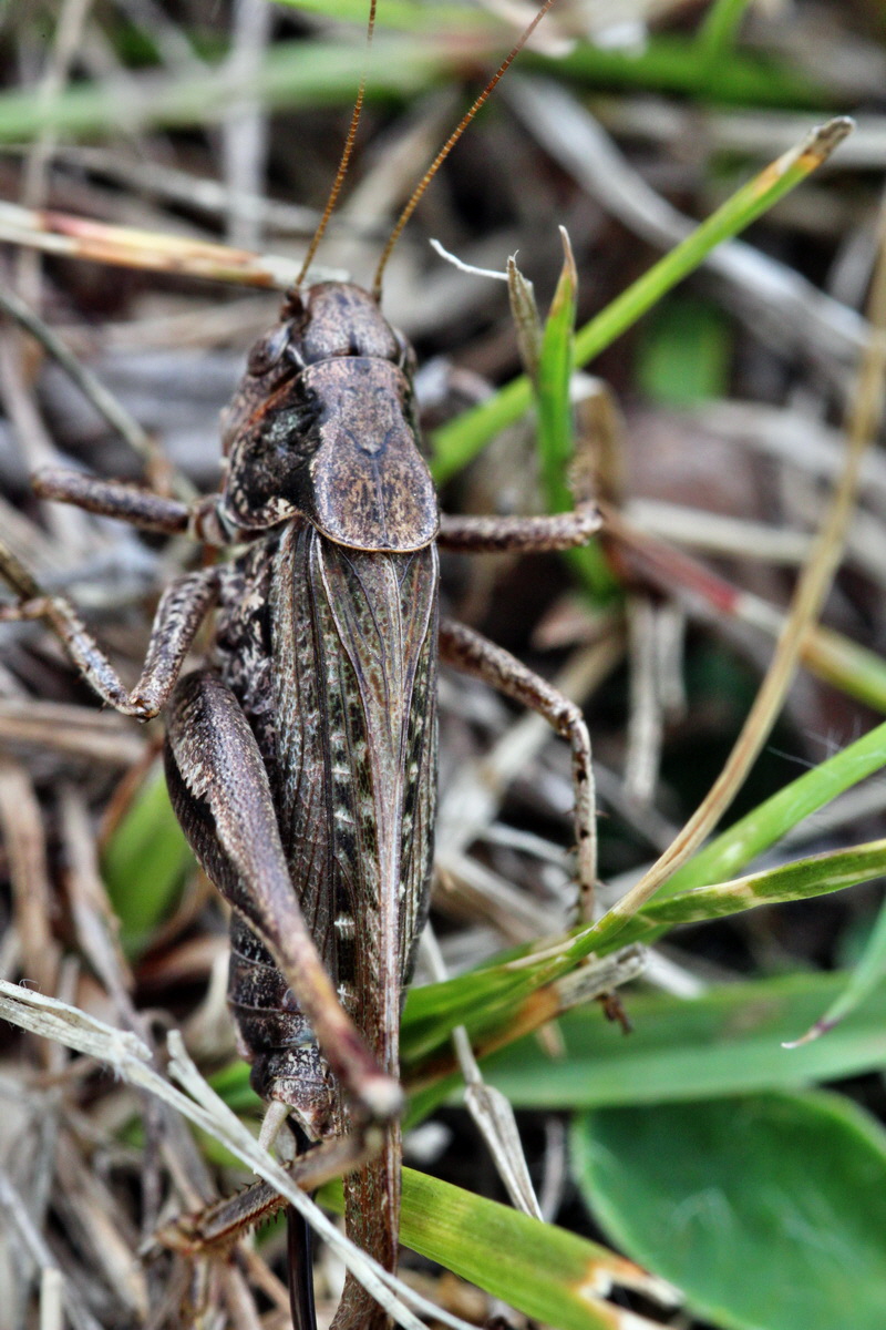 2013_09_15_00030736p_Bildgr��e �ndern