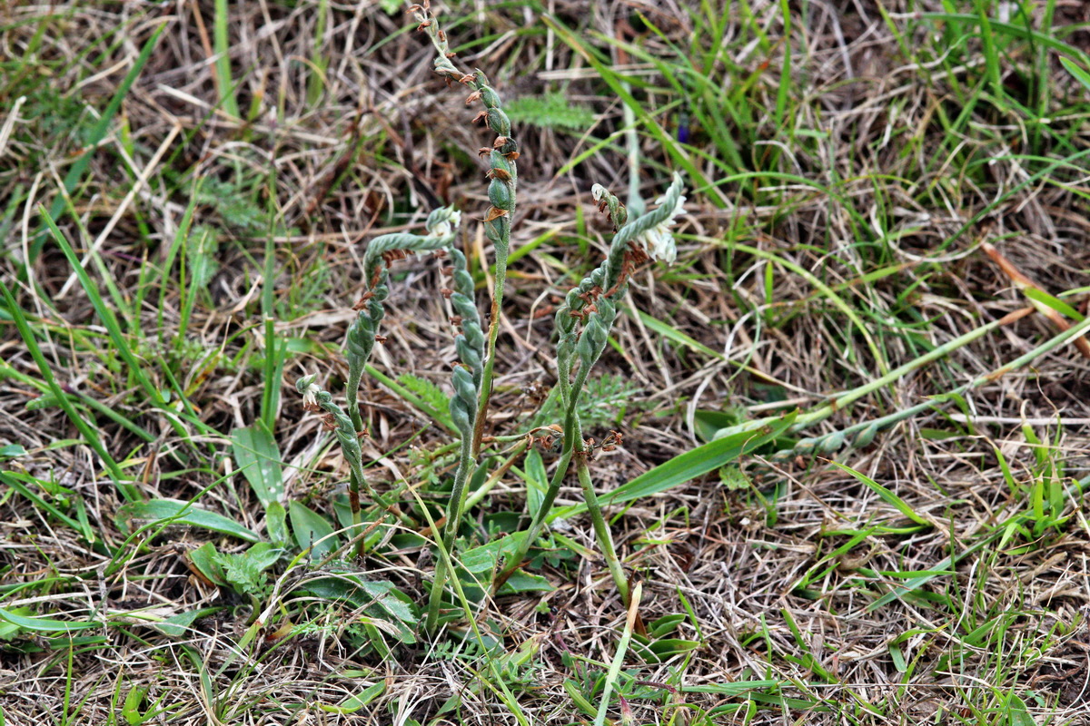 2013_09_15_00030742p_Bildgr��e �ndern