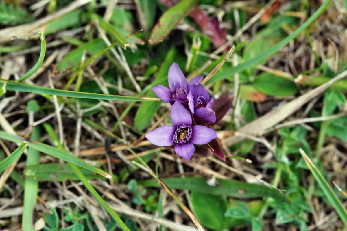 2013_09_15_00030744p_Bildgr��e �ndern