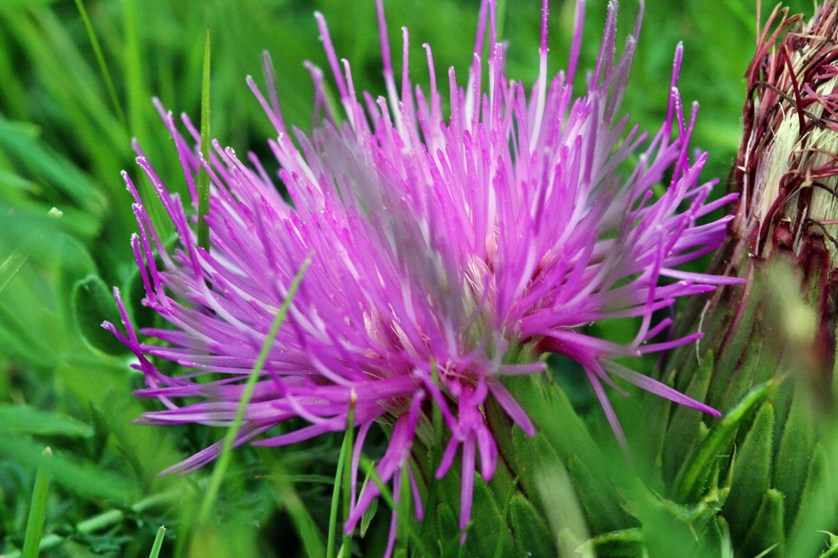 2013_09_15_00030751p_Bildgr��e �ndern