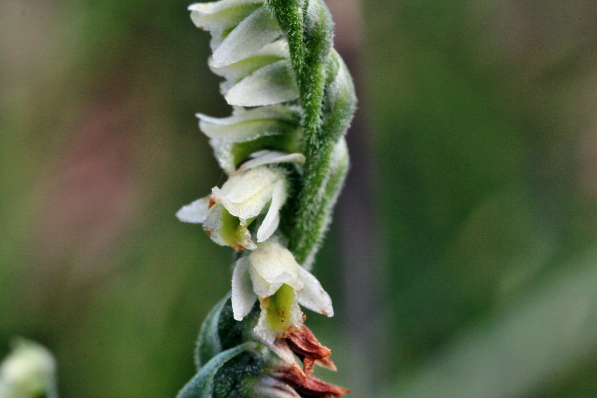 2013_09_15_00030754p_Bildgr��e �ndern