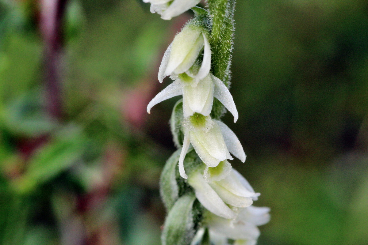 2013_09_15_00030756p_Bildgr��e �ndern