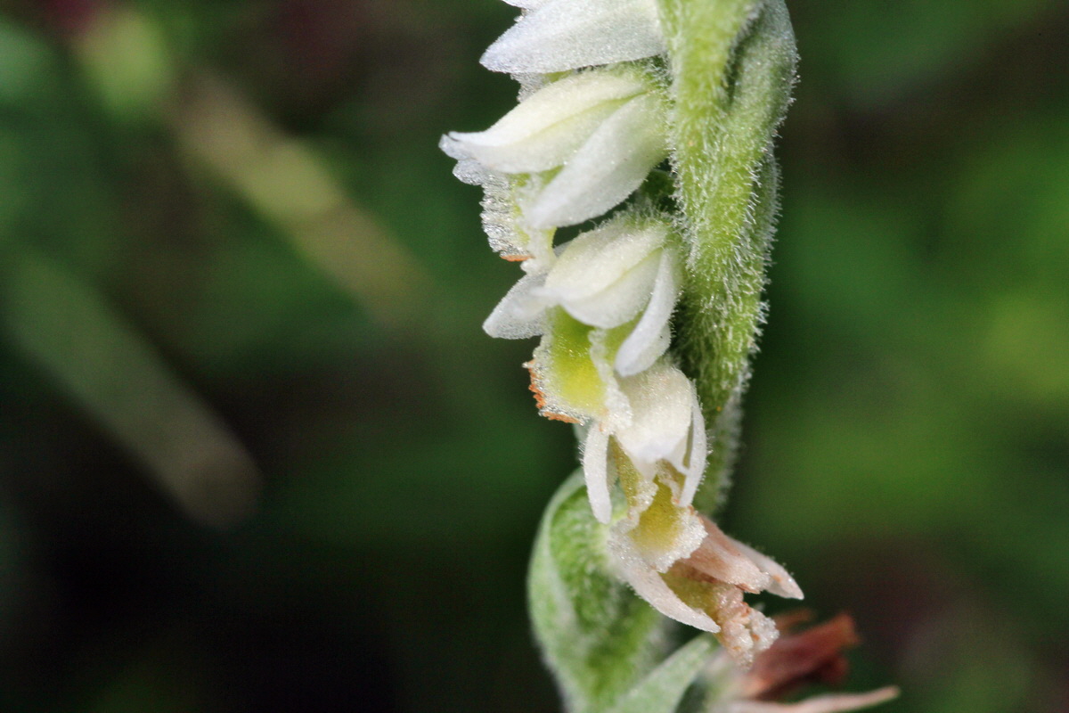 2013_09_15_00030762p_Bildgr��e �ndern