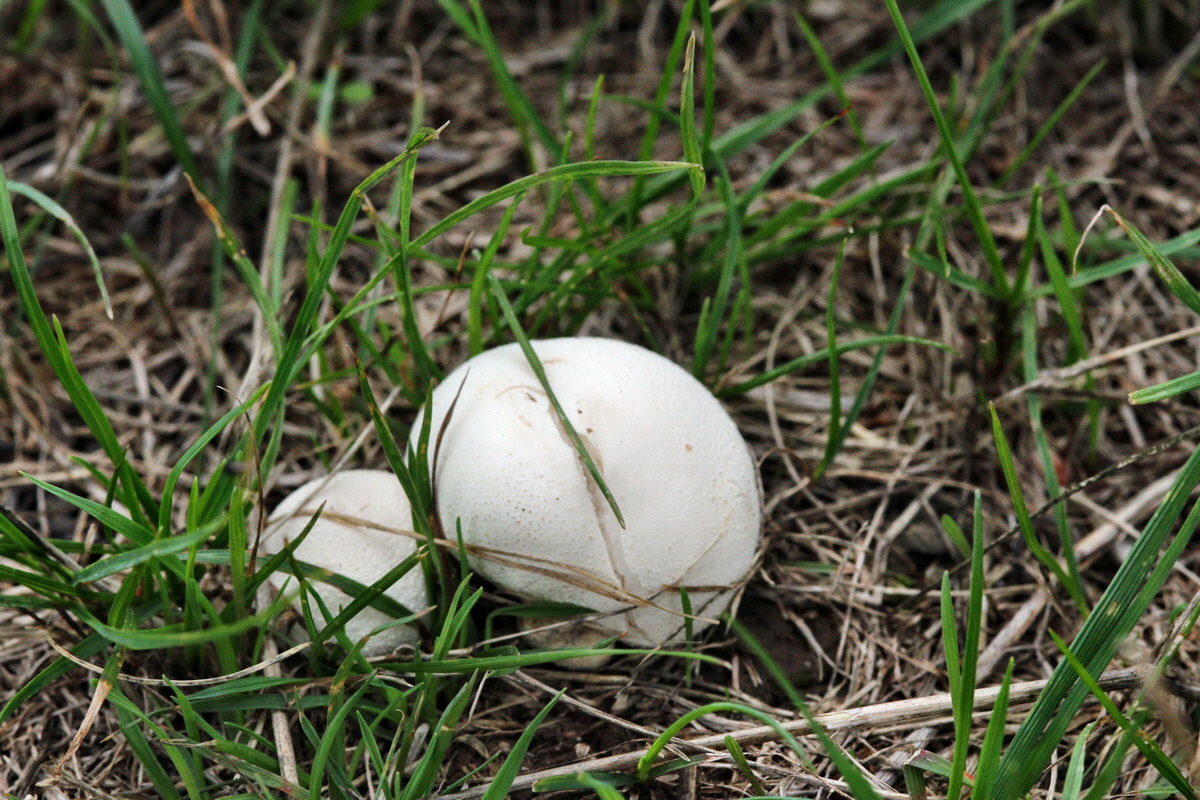 2013_09_15_00030767p_Bildgr��e �ndern