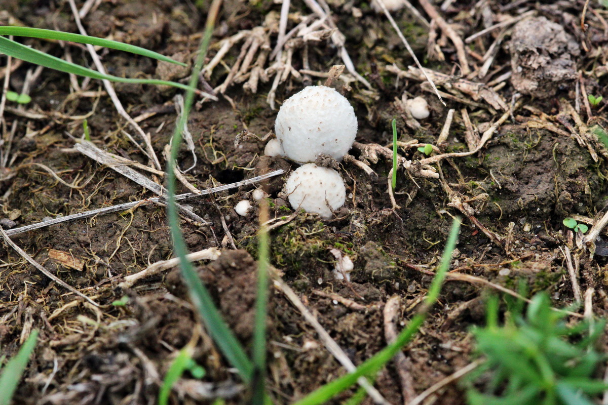 2013_09_15_00030769p_Bildgr��e �ndern