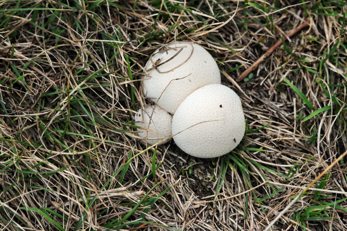 2013_09_15_00030776p_Bildgr��e �ndern