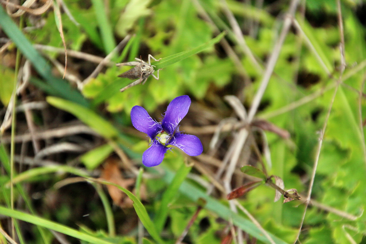 IMG_2013_09_14_017222p_Bildgr��e �ndern