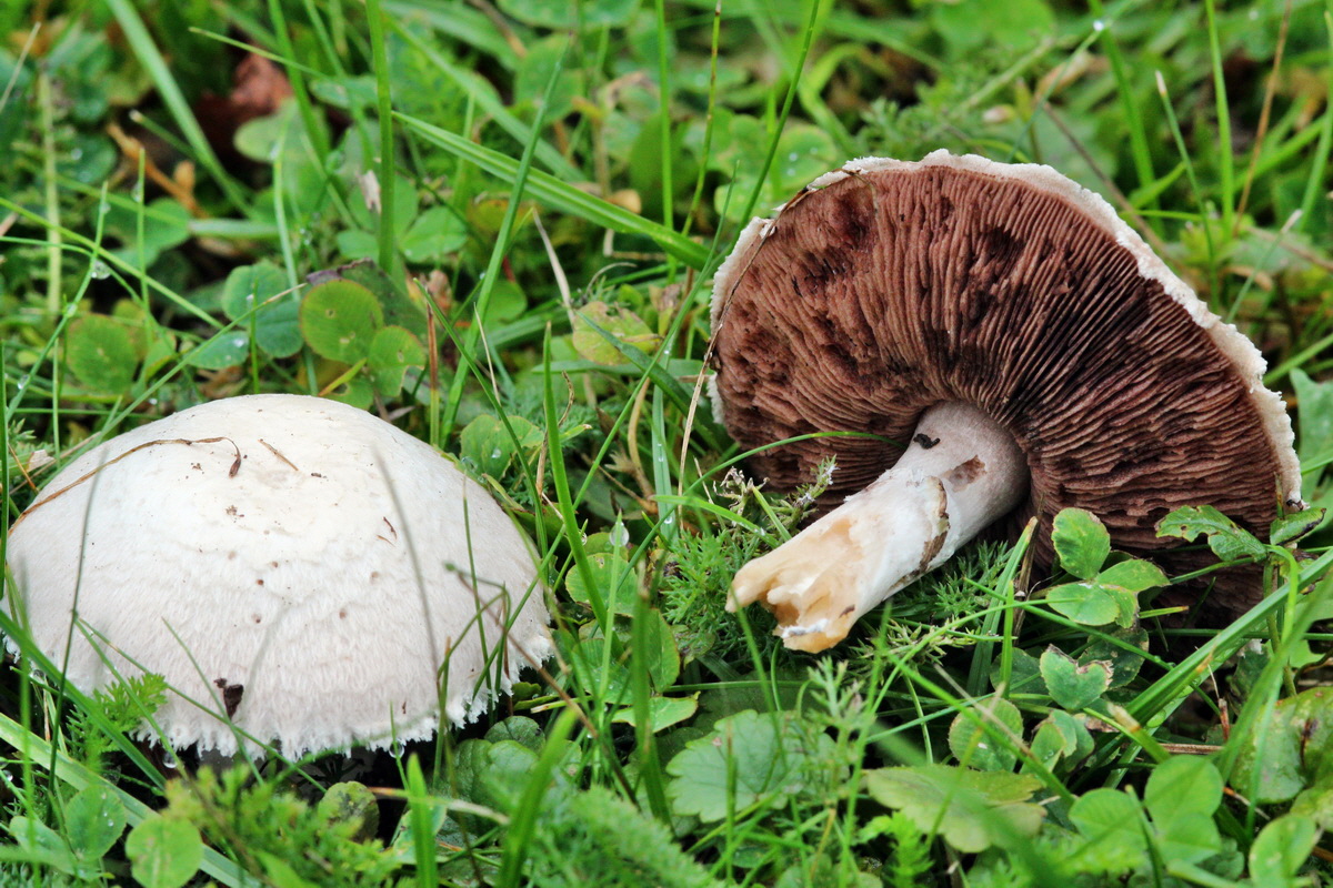 2013_09_21_00030784p_Bildgr��e �ndern