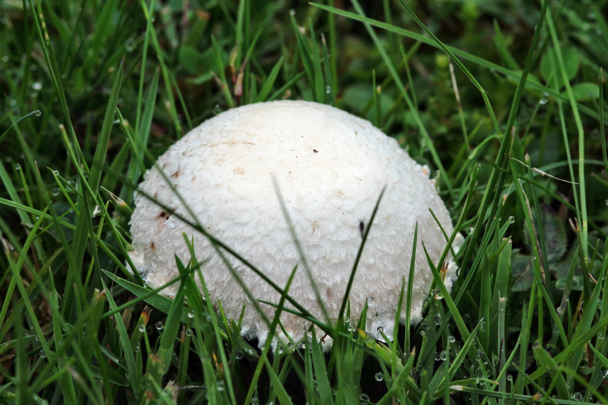 2013_09_21_00030792p_Bildgr��e �ndern