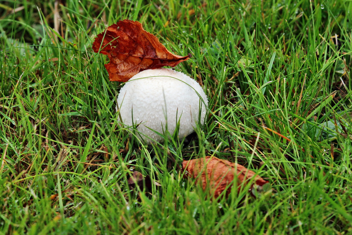 2013_09_21_00030796p_Bildgr��e �ndern