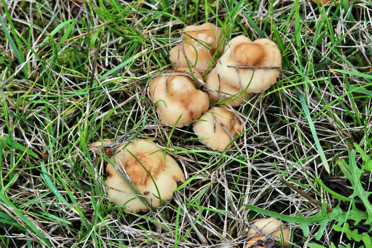 2013_09_21_00030821p_Bildgr��e �ndern