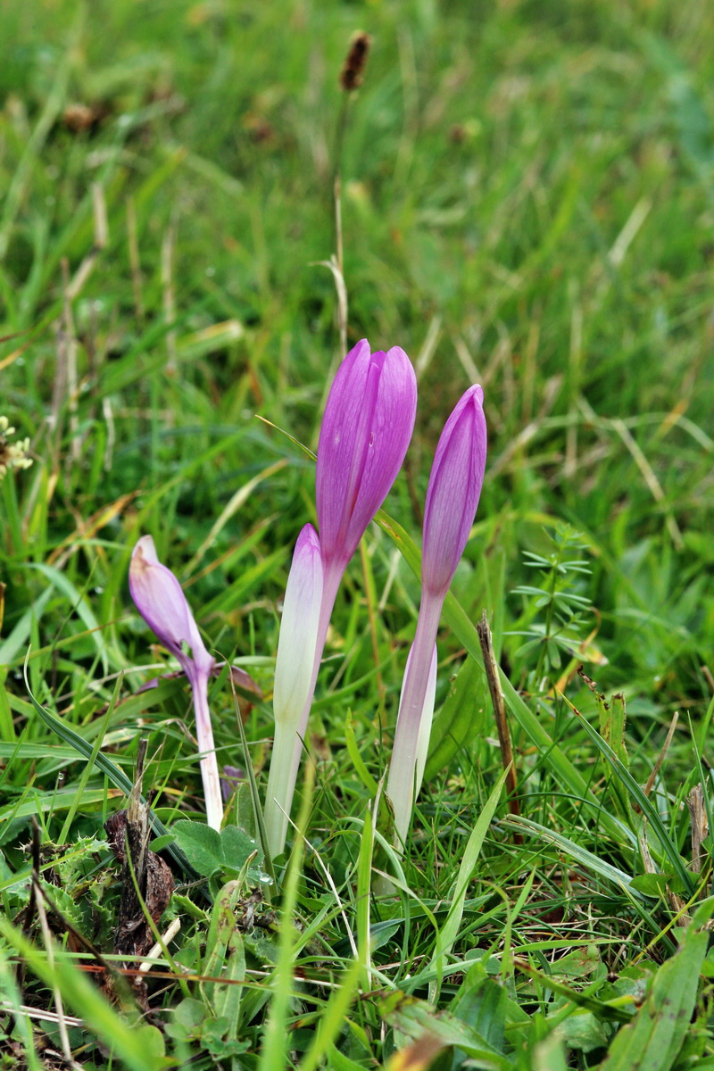 2013_09_21_00030823p_Bildgr��e �ndern