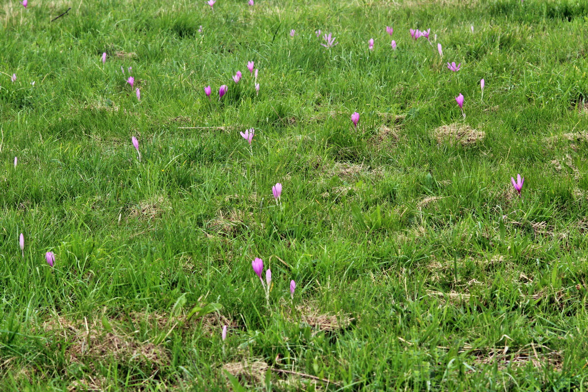 2013_09_21_00030831p_Bildgr��e �ndern