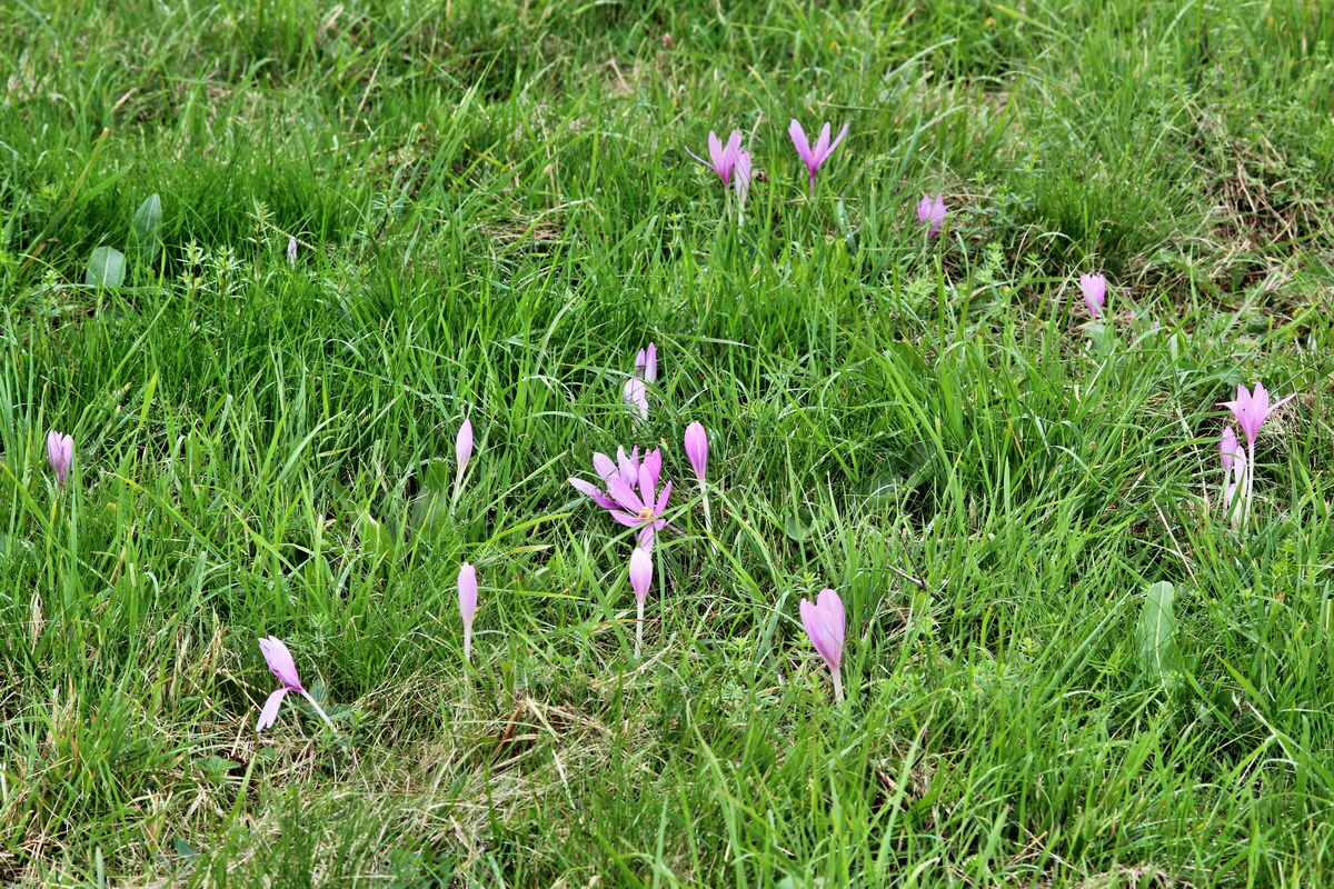 2013_09_21_00030836p_Bildgr��e �ndern