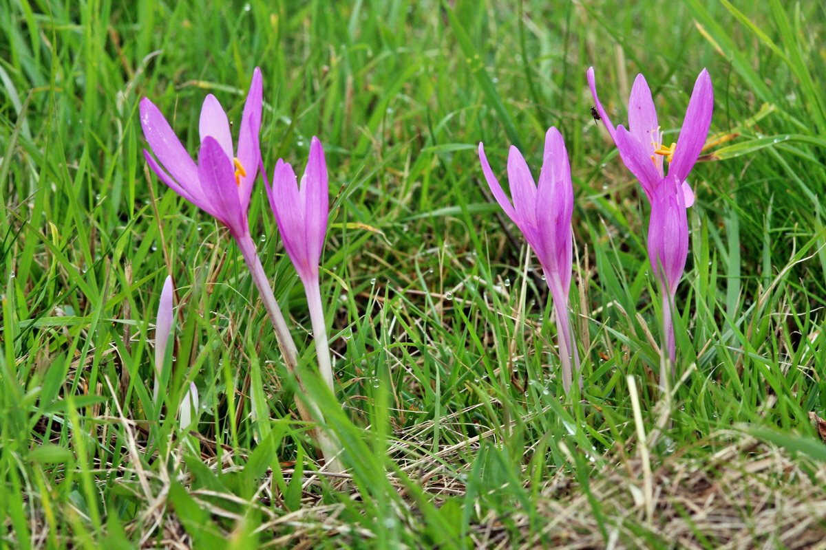 2013_09_21_00030841p_Bildgr��e �ndern