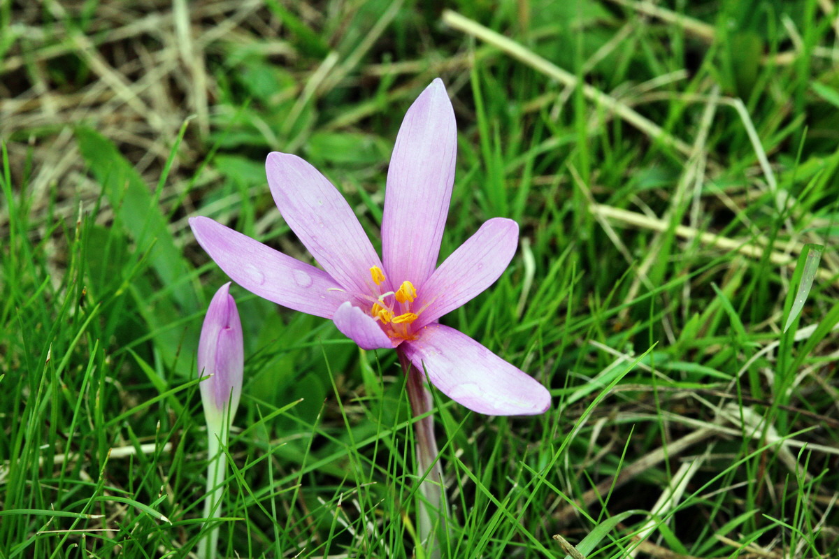 2013_09_21_00030845p_Bildgr��e �ndern