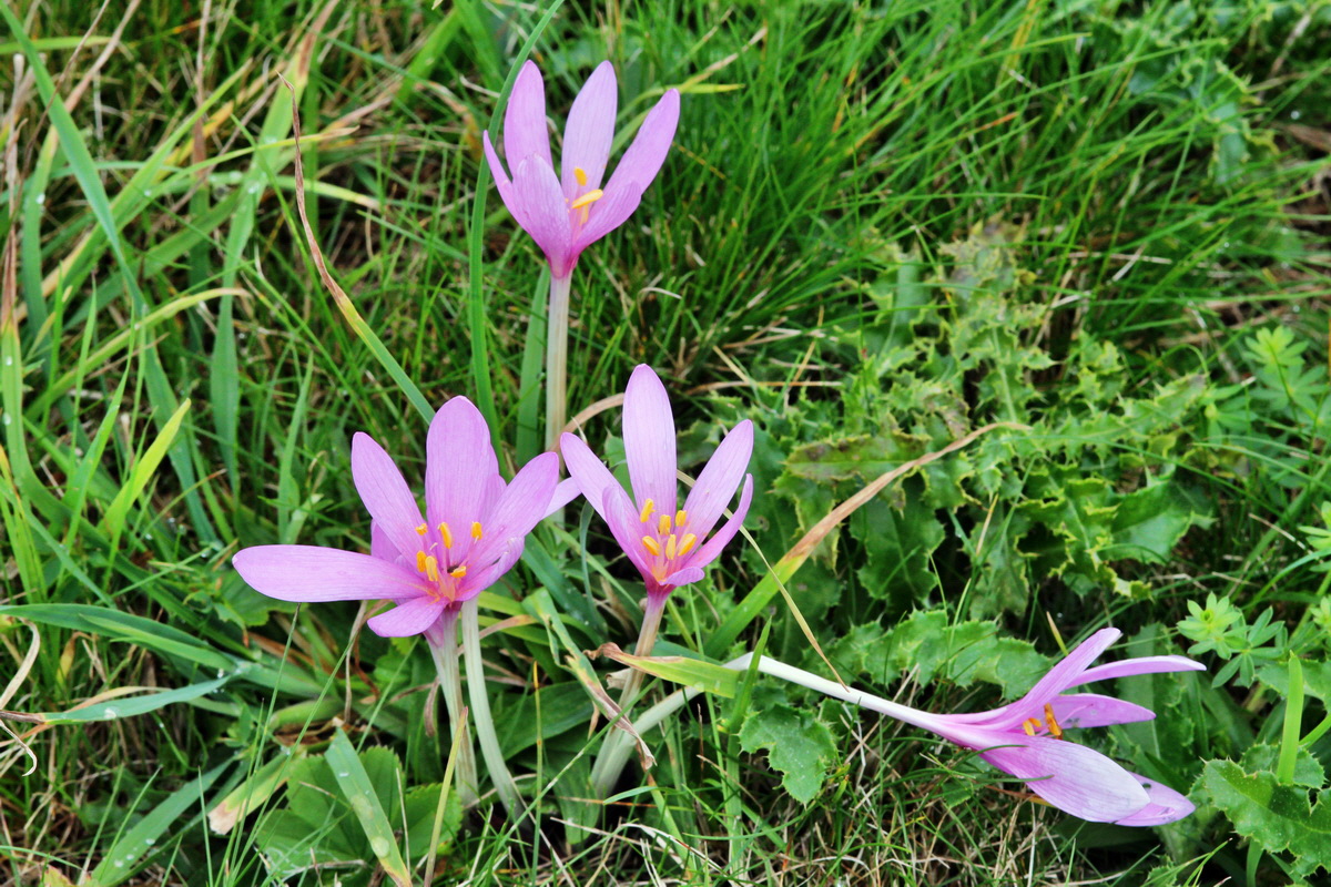 2013_09_21_00030850p_Bildgr��e �ndern