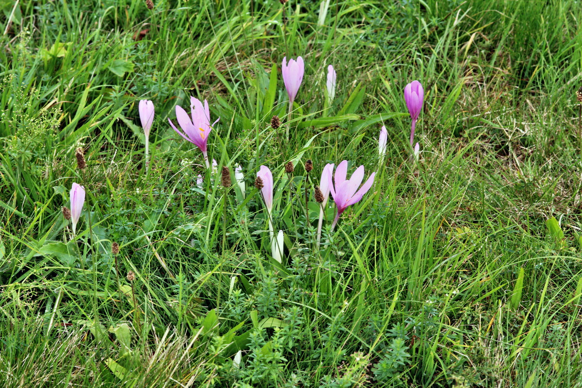 2013_09_21_00030856p_Bildgr��e �ndern