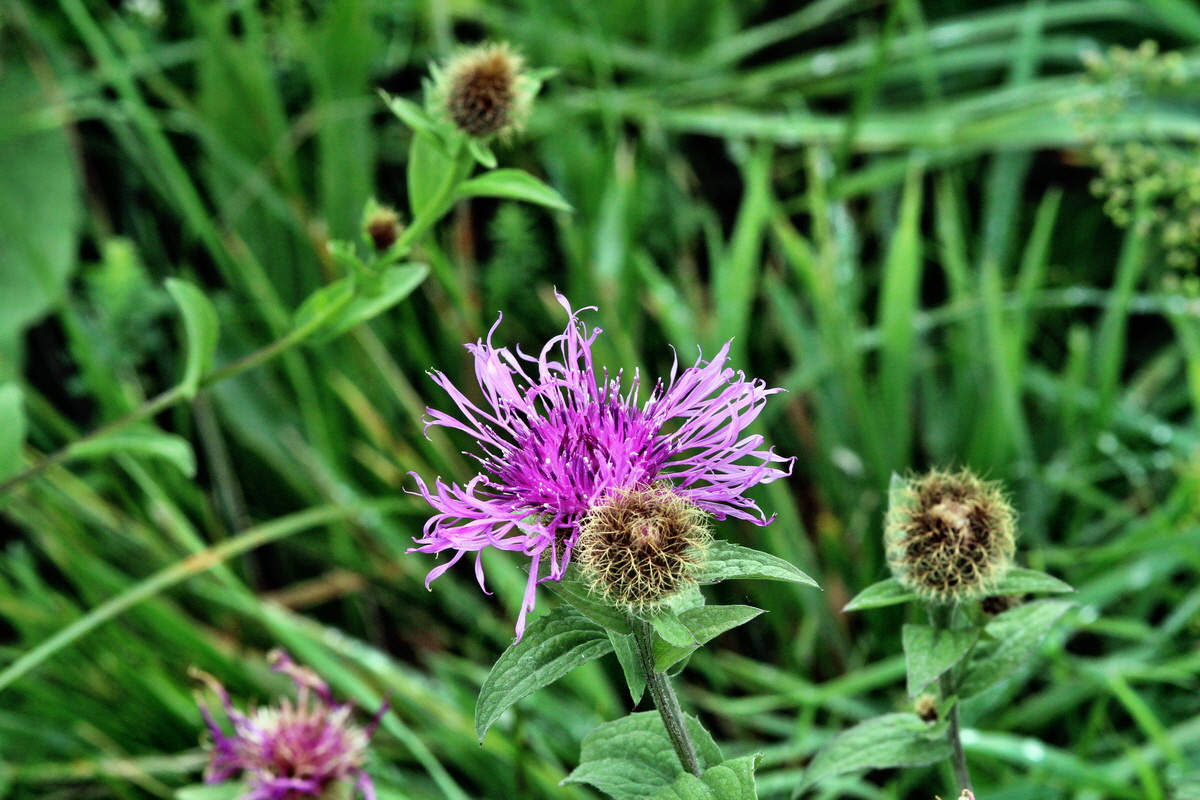 2013_09_21_00030863p_Bildgr��e �ndern