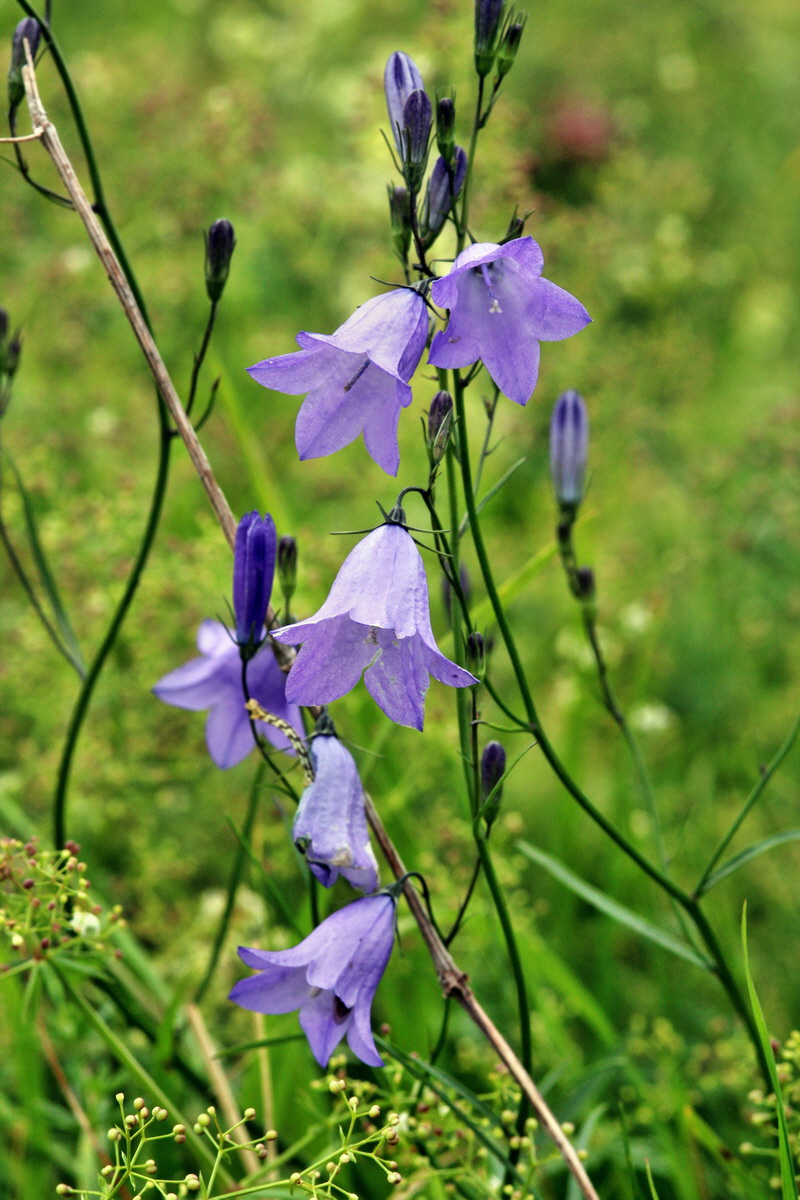 2013_09_21_00030865p_Bildgr��e �ndern