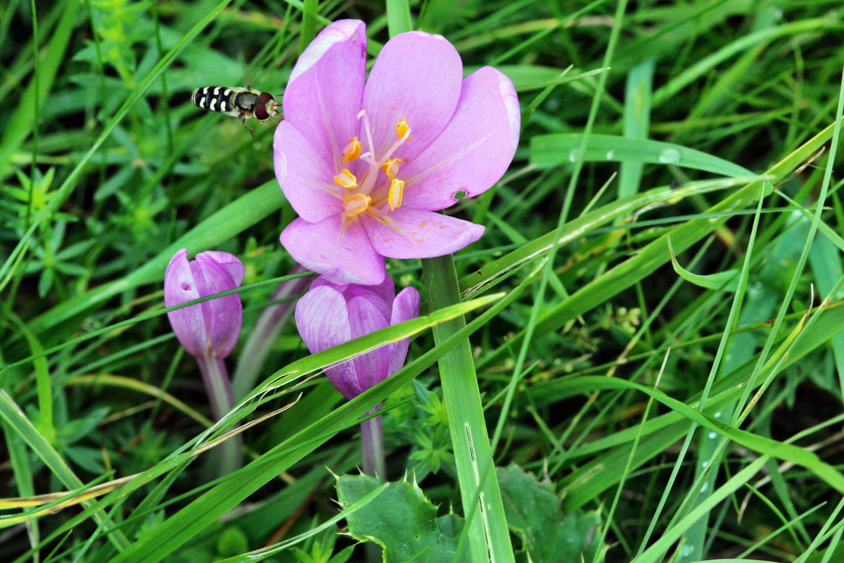 2013_09_21_00030868p_Bildgr��e �ndern