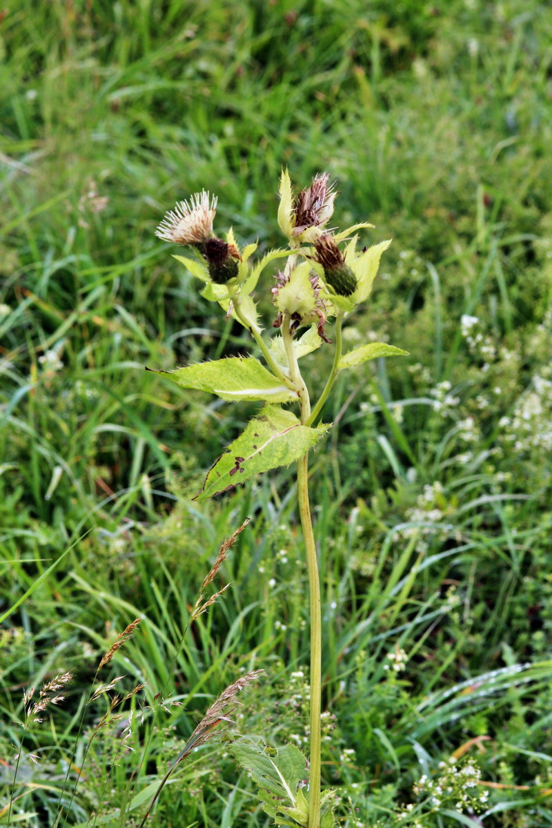 2013_09_21_00030887p_Bildgr��e �ndern