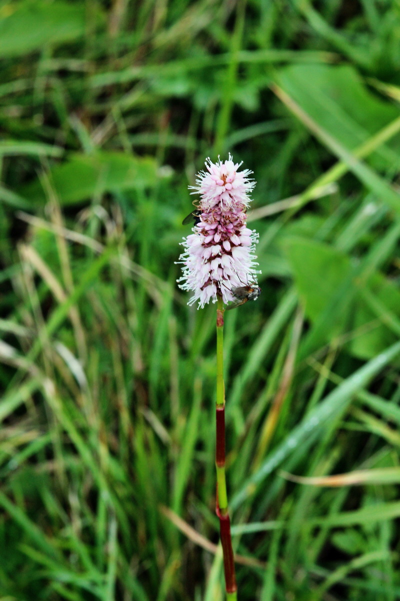 2013_09_21_00030891p_Bildgr��e �ndern