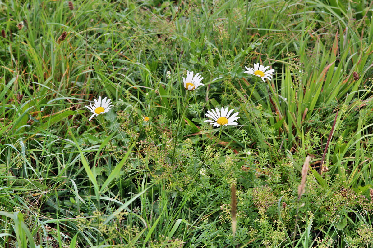 2013_09_21_00030893p_Bildgr��e �ndern