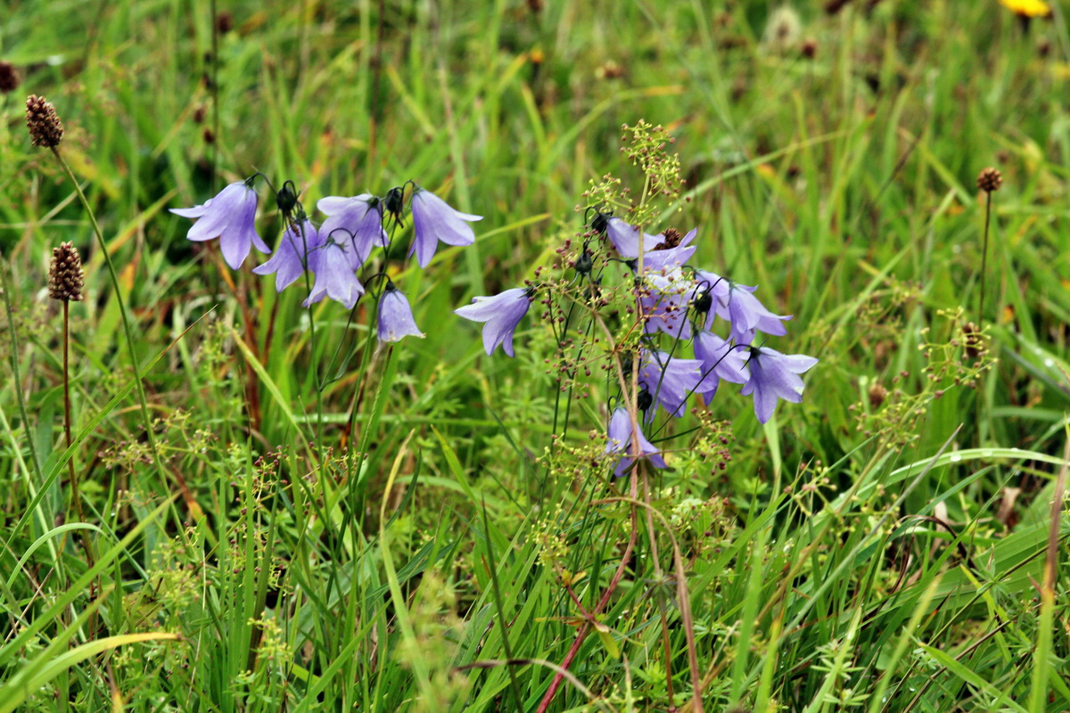 2013_09_21_00030900p_Bildgr��e �ndern