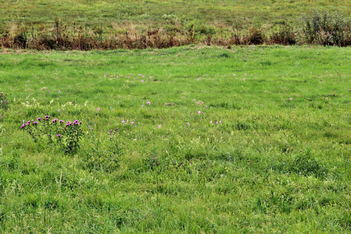 2013_09_21_00030903p_Bildgr��e �ndern