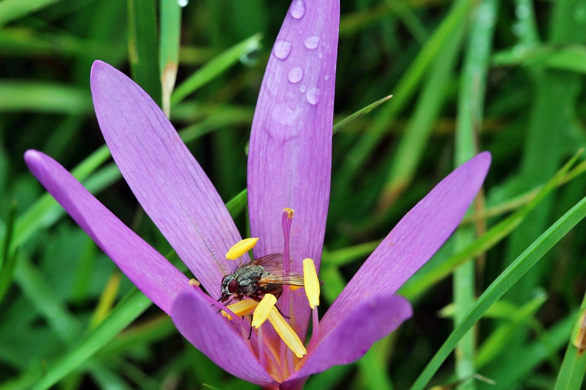 2013_09_21_00030929p_Bildgr��e �ndern