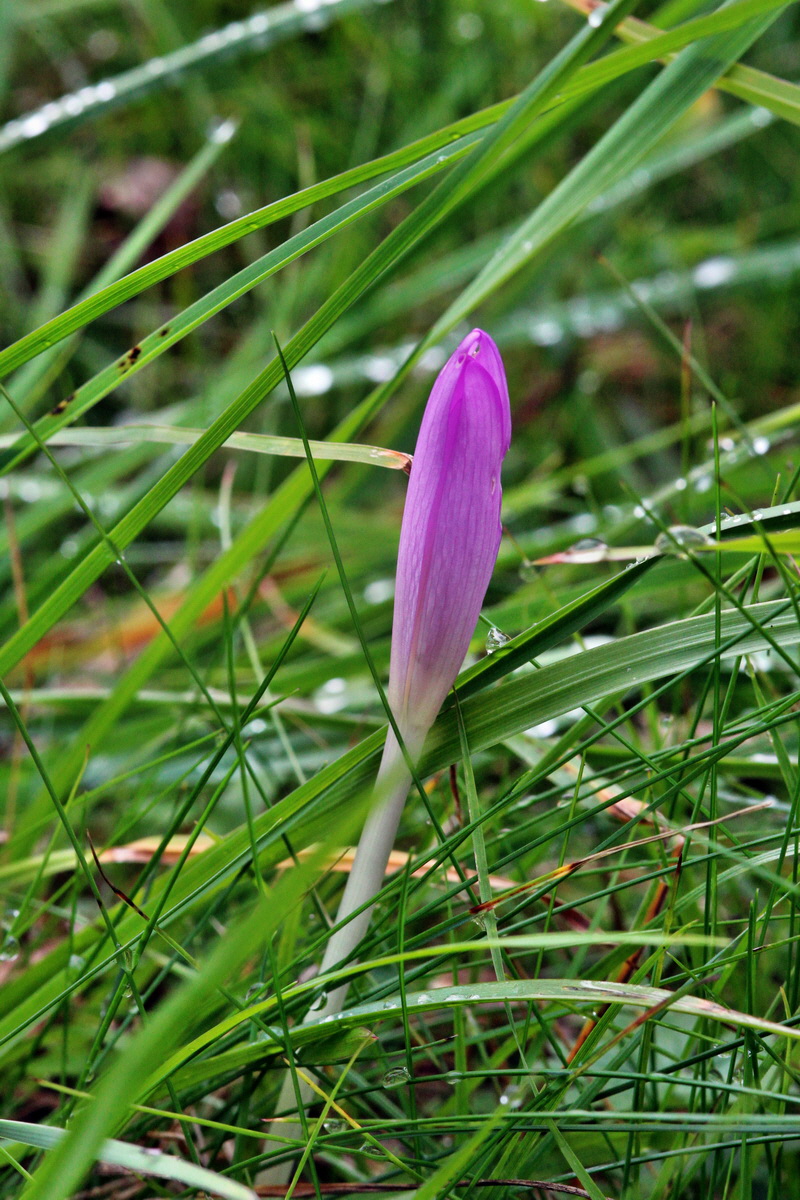 2013_09_21_00030935p_Bildgr��e �ndern