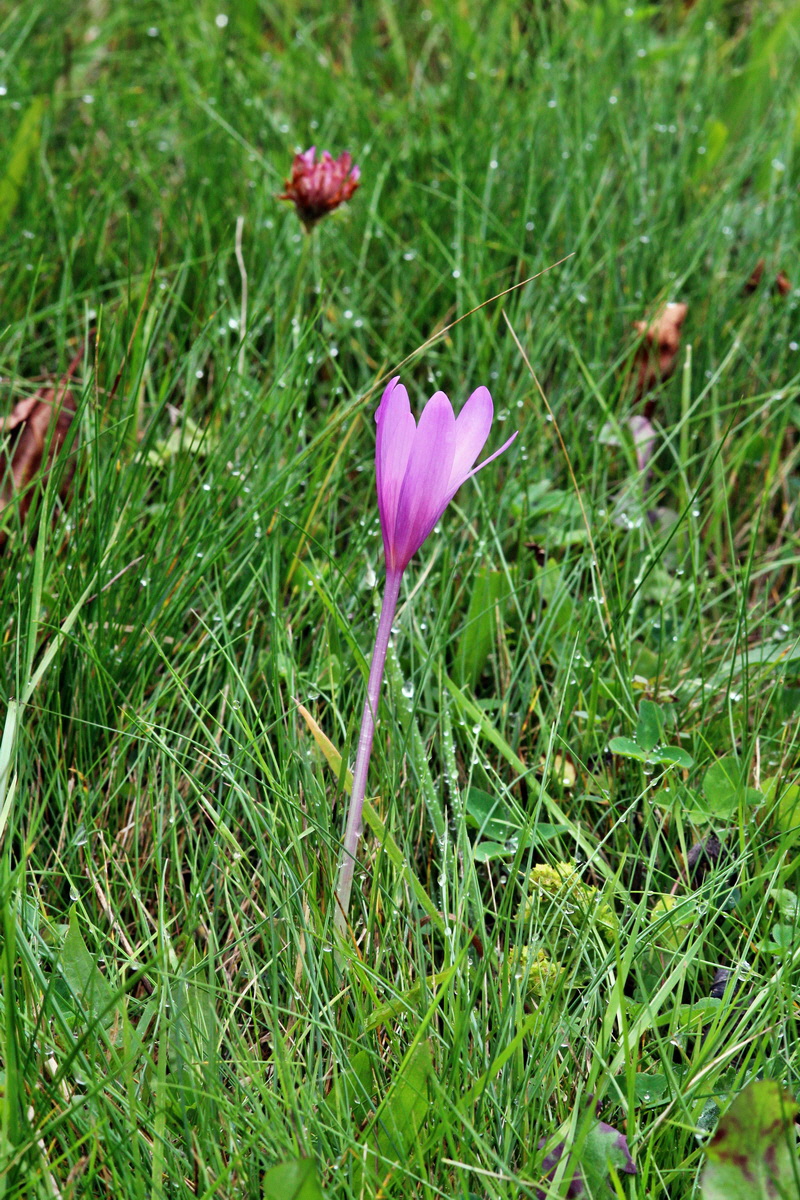 2013_09_21_00030938p_Bildgr��e �ndern