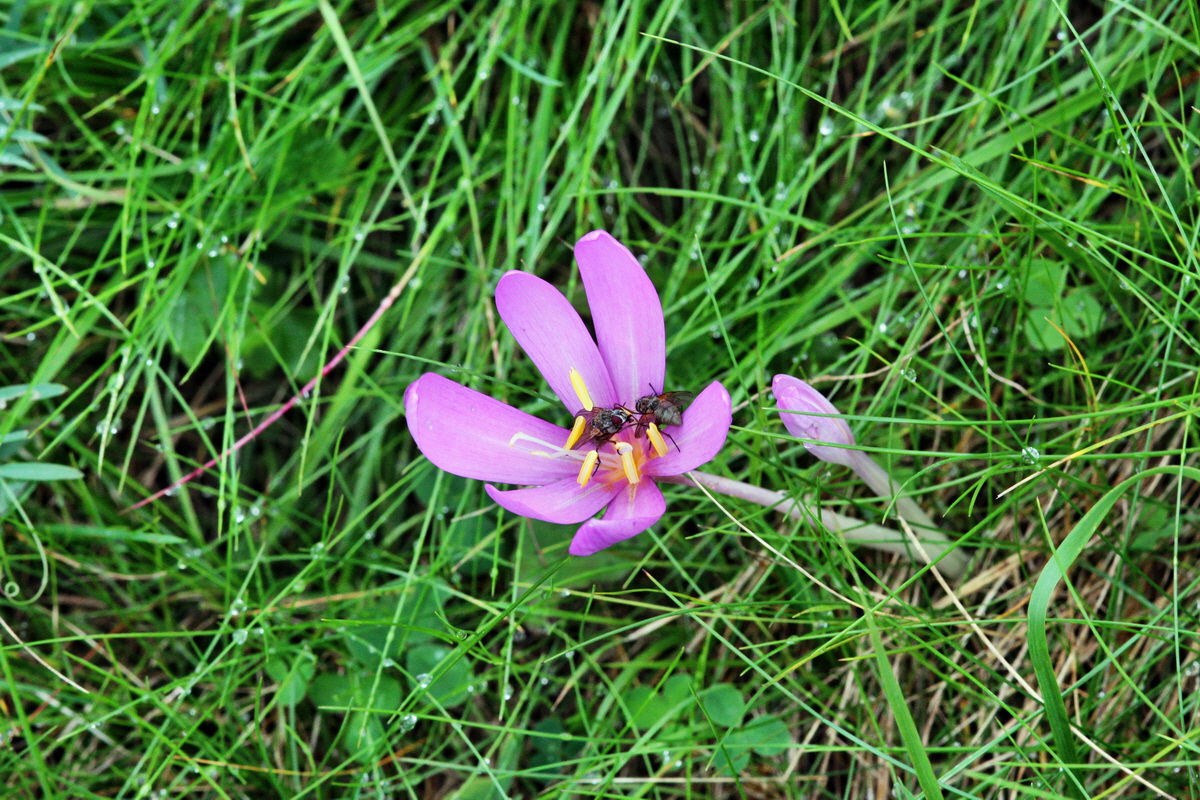 2013_09_21_00030942p_Bildgr��e �ndern