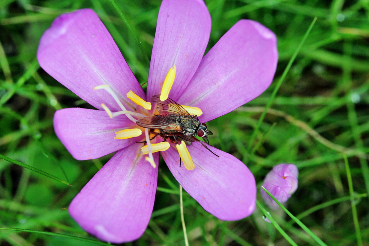 2013_09_21_00030945p_Bildgr��e �ndern