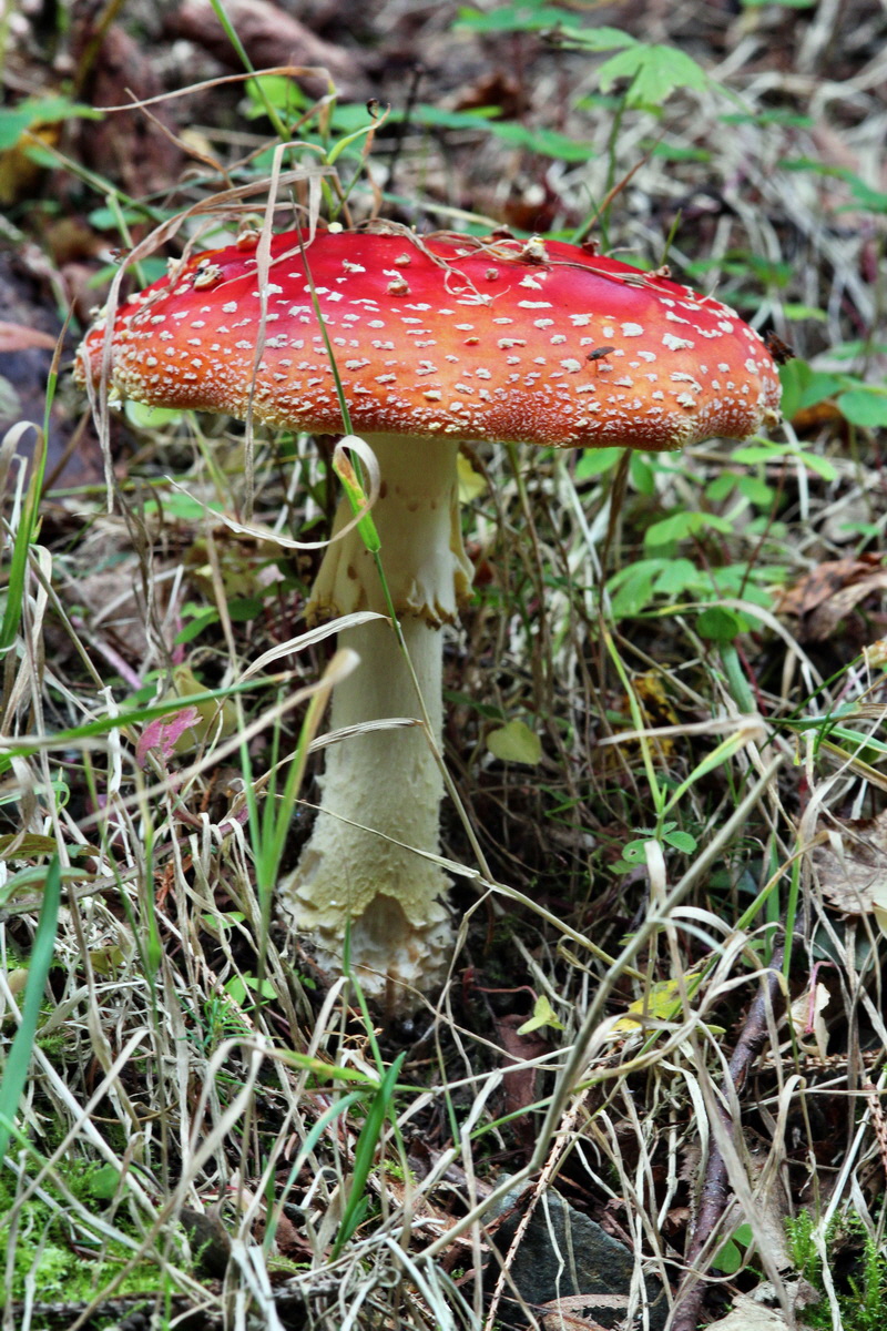 2013_09_21_00030970p_Bildgr��e �ndern