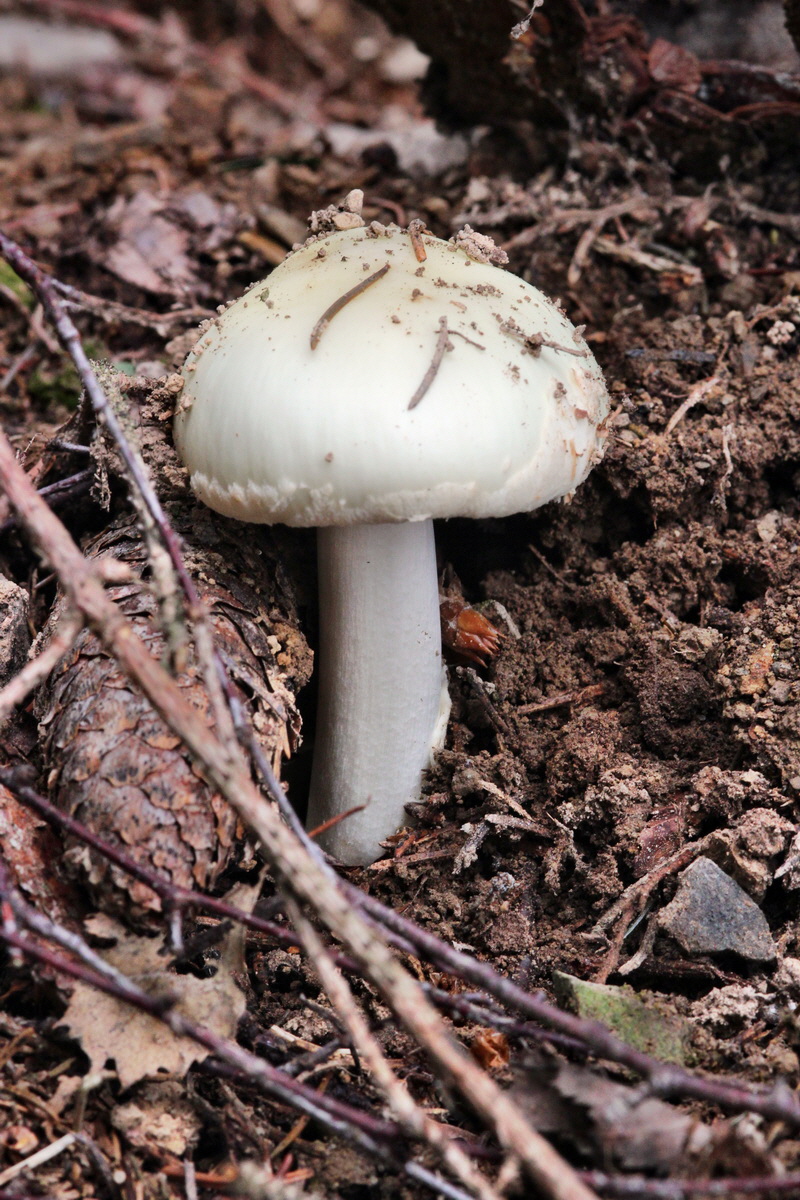 2013_09_21_00030973p_Bildgr��e �ndern