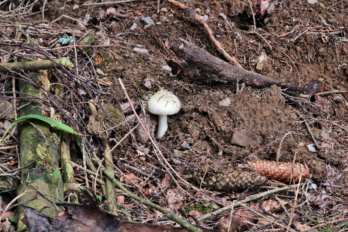 2013_09_21_00030976p_Bildgr��e �ndern