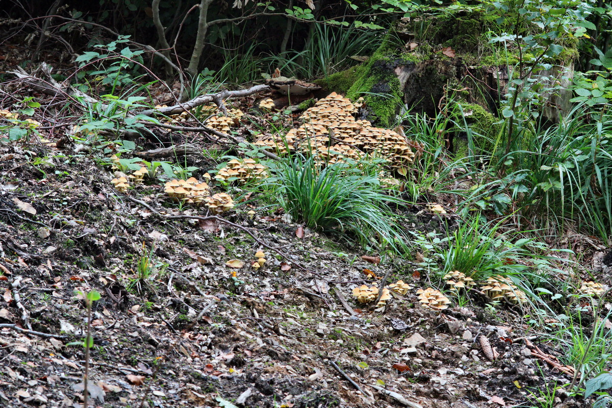 2013_09_21_00031004p_Bildgr��e �ndern