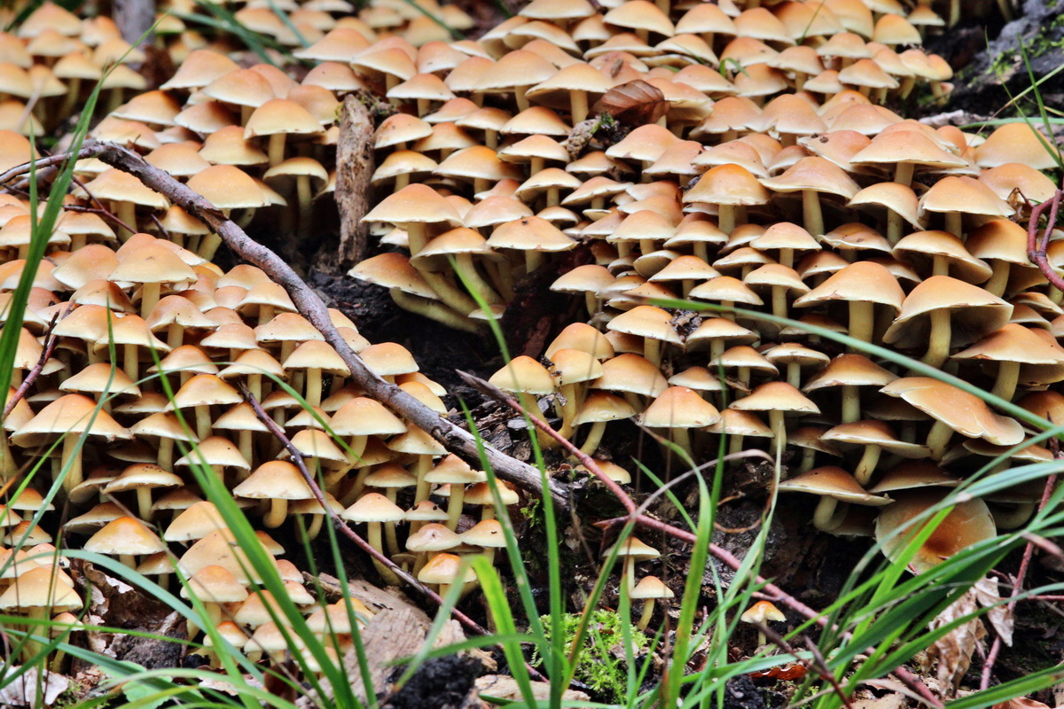 2013_09_21_00031009p_Bildgr��e �ndern