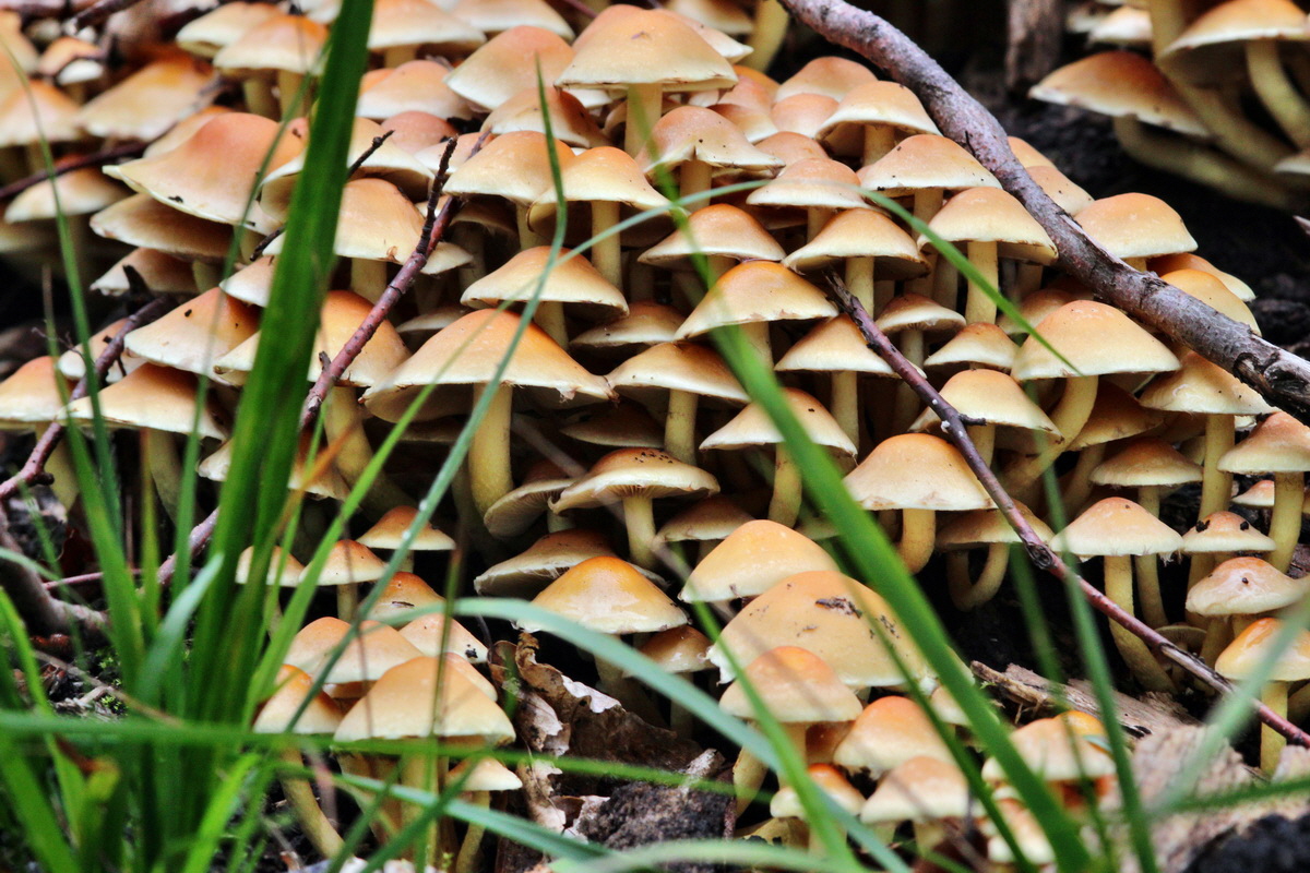 2013_09_21_00031013p_Bildgr��e �ndern