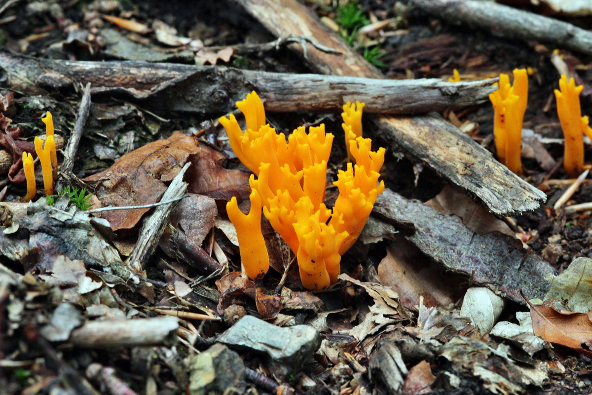 2013_09_21_00031026p_Bildgr��e �ndern