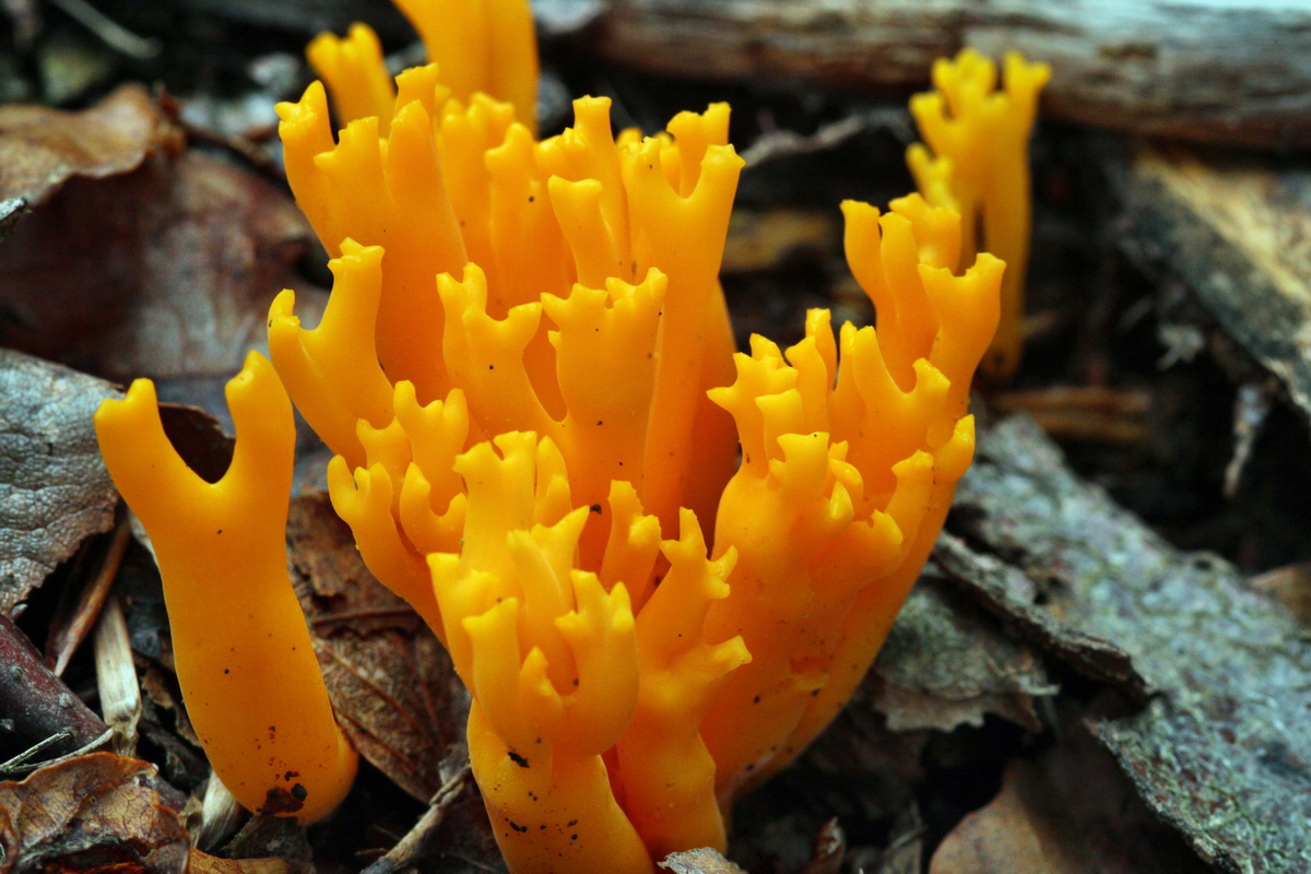 2013_09_21_00031029p_Bildgr��e �ndern