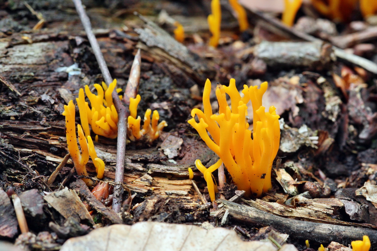 2013_09_21_00031033p_Bildgr��e �ndern